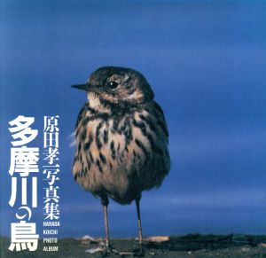 写真集 多摩川の鳥 原田孝一写真集