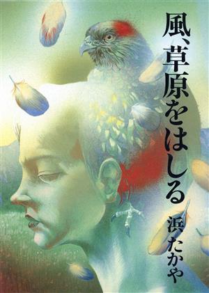 風、草原をはしる 偕成社の創作文学74