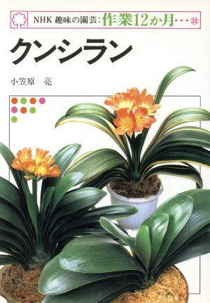 趣味の園芸 クンシラン NHK趣味の園芸 作業12か月33