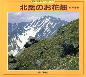 北岳のお花畑 山渓ネイチュア・ブックス9