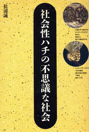 社会性ハチの不思議な社会 自然誌選書