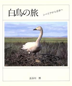 白鳥の旅シベリアから日本へ