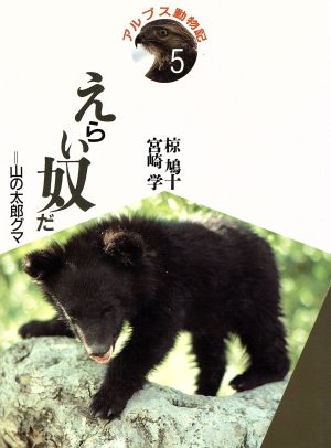 えらい奴だ 山の太郎グマ アルプス動物記5