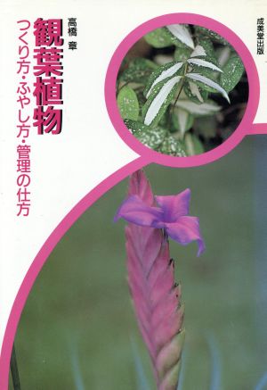 観葉植物 つくり方・ふやし方・管理の仕方