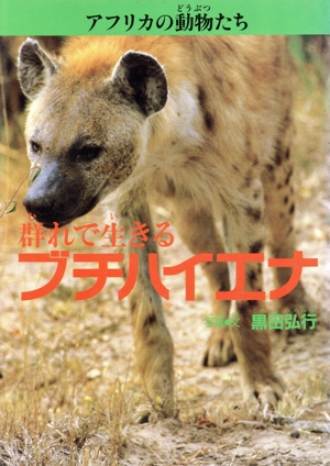 群れで生きるブチハイエナ アフリカの動物たち3