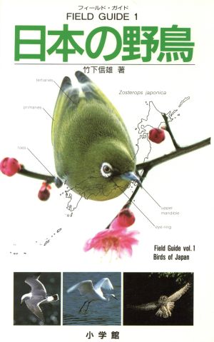 日本の野鳥 フィールド・ガイド1