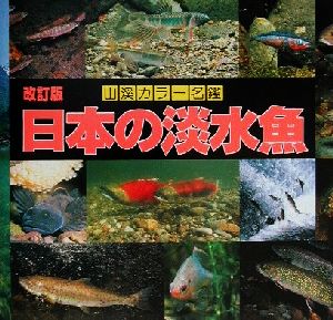 日本の淡水魚山渓カラー名鑑