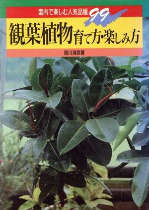 観葉植物 育て方・楽しみ方 室内で楽しむ人気品種99