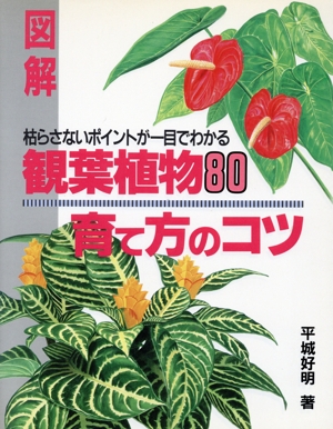 図解 観葉植物80育て方のコツ 枯らさないポイントが一目でわかる