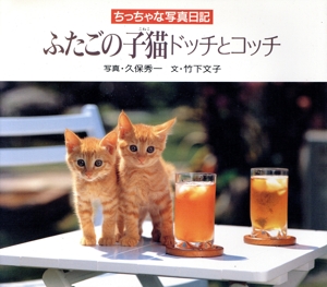 ちっちゃな写真日記 ふたごの子猫ドッチとコッチ