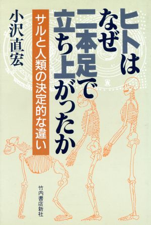 ヒトはなぜ二本足で立ち上がったか サルと人間の決定的な違い