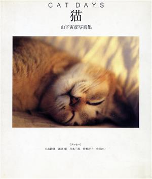 猫 CAT DAYS山下寅彦写真集