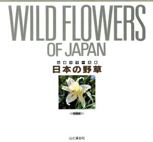 日本の野草 特装版 山渓カラー名鑑 新品本・書籍 | ブックオフ公式