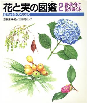 夏・秋・冬に花が咲く木花芽から花・実・たねまで花と実の図鑑2