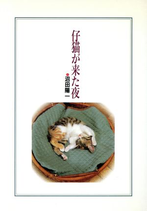 仔猫が来た夜 中古本・書籍 | ブックオフ公式オンラインストア