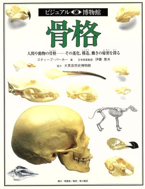 骨格人間や動物の骨格 その進化、構造、働きの秘密を探るビジュアル博物館3