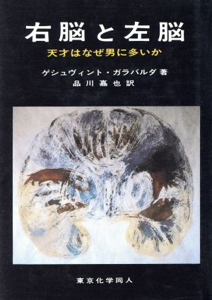 右脳と左脳 天才はなぜ男に多いか