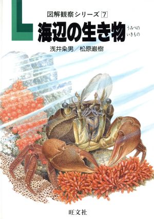 海辺の生き物 図解観察シリーズ7