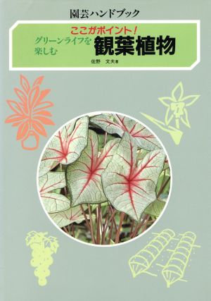 グリーンライフを楽しむ観葉植物 ここがポイント！ 園芸ハンドブック