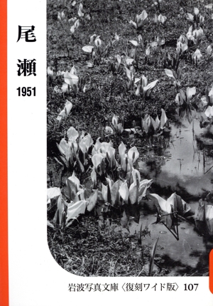 尾瀬 シリーズ 自然と地誌の記録1
