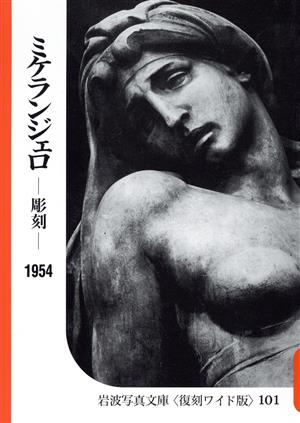 ミケランジェロ 彫刻 シリーズ 世界の美術案内2