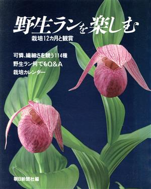 野生ランを楽しむ 栽培12カ月と観賞