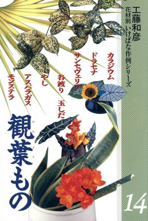 観葉もの(14) 観葉もの 花材別 いけばな作例シリーズ14