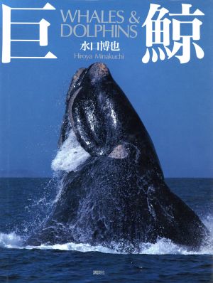 巨鯨WHALES & DOLPHINSQuarkスペシャル