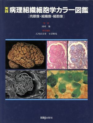 実践 病理組織細胞学カラー図艦 肉眼像・組織像・細胞像