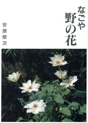 なごや野の花