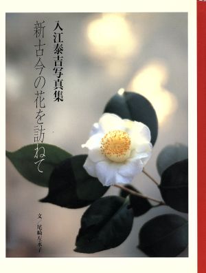 新古今の花を訪ねて 入江泰吉写真集 求龍堂グラフィックス