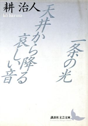 一条の光・天井から降る哀しい音 講談社文芸文庫