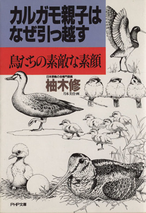 カルガモ親子はなぜ引っ越す 鳥たちの素敵な素顔 PHP文庫