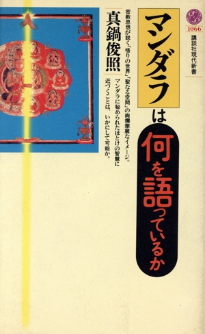 マンダラは何を語っているか 講談社現代新書1066