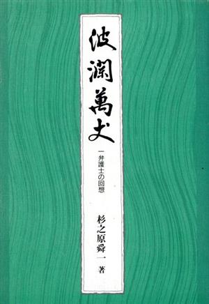 波瀾万丈 一弁護士の回想