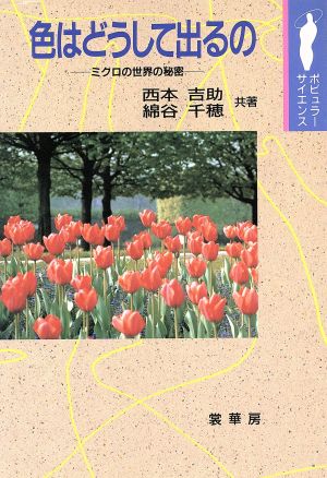 色はどうして出るの ミクロの世界の秘密 ポピュラーサイエンス