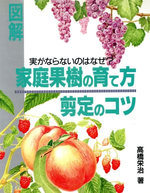 図解 家庭果樹の育て方、剪定のコツ 実がならないのはなぜ？ 図解シリーズ
