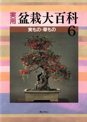 実もの・草もの 実用 盆栽大百科6