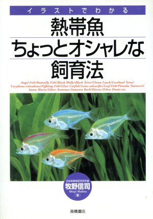 熱帯魚ちょっとオシャレな飼育法