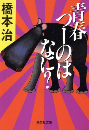 青春つーのはなに？ 集英社文庫