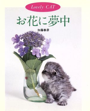 お花に夢中 Lovely CAT