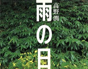 写真集 雨の日 梓川源流・上高地の水