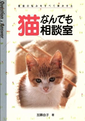 猫なんでも相談室 愛猫の悩みをすべて解決する