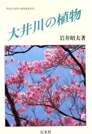 大井川の植物 山と谷合いを彩る花たち