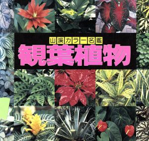 観葉植物 山渓カラー名鑑 新品本・書籍 | ブックオフ公式オンラインストア