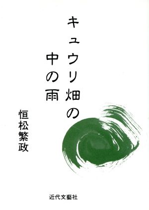 キュウリ畑の中の雨 短編小説集