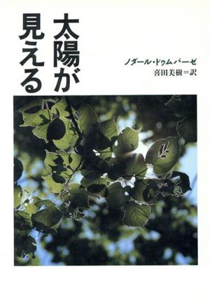 太陽が見える