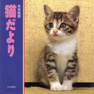 猫だより