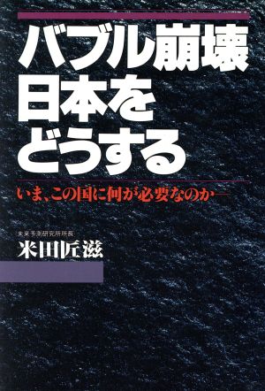 バブル崩壊日本をどうする いま、この国に何が必要なのか