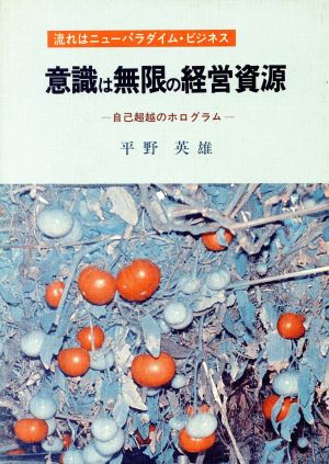 意識は無限の経営資源 流れはニューパラダイム・ビジネス 自己超越のホログラム